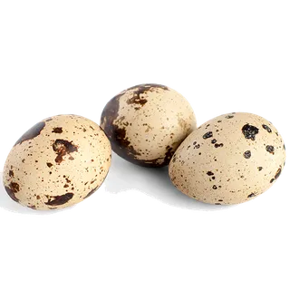 鹌鹑蛋 (超市商品白底图免抠实物摄影png格式图片透明底001