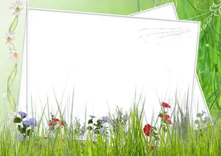 图片,相框PNG免抠