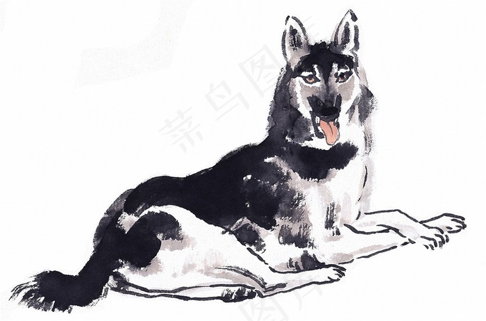 家畜欣赏素材