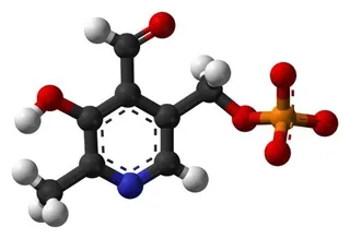 分子 PNG免抠