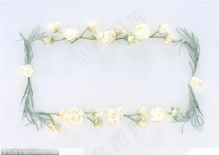 相框边框-精美的白色小花边框