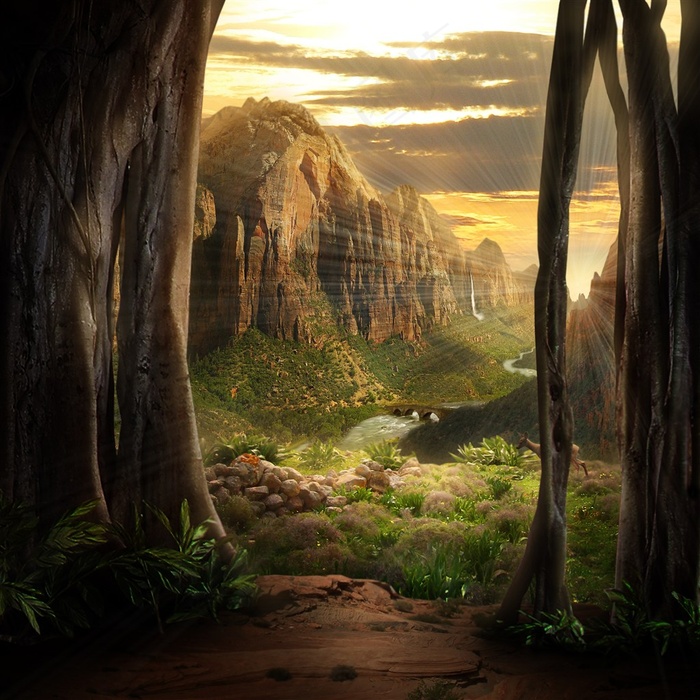 阳光照射的山谷和森林高清图片