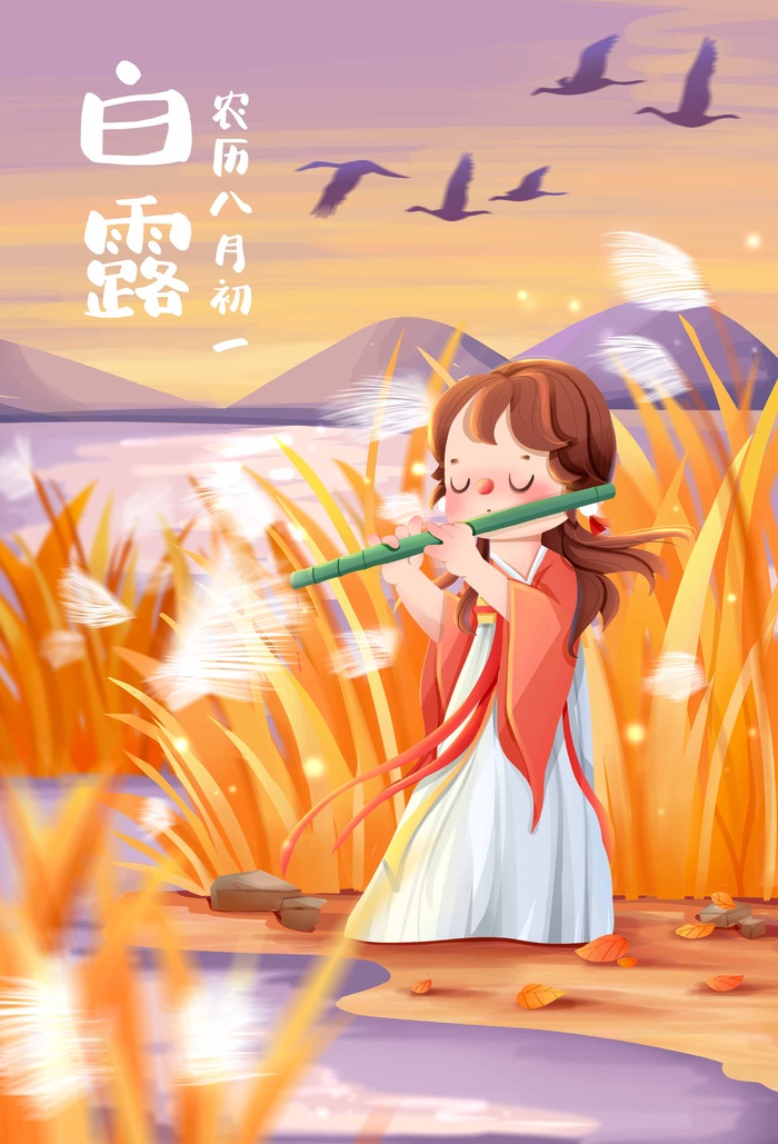 创新白露营销活动海报图片