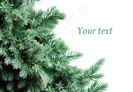 2012圣诞贺卡图片下载