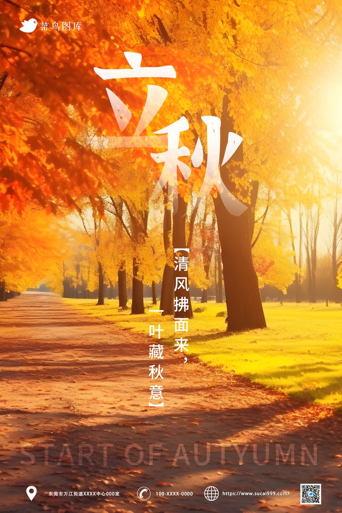 橙色落叶立秋海报psd模版下载