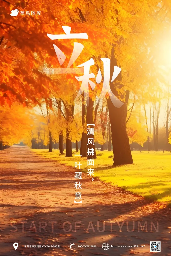 橙色落叶立秋海报psd模版下载