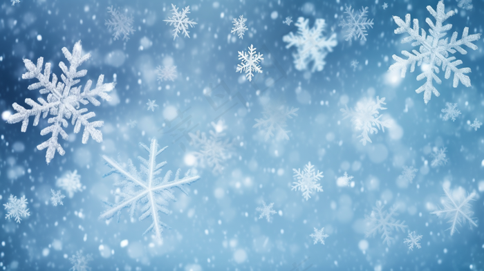 冬天雪花飘落白雪蓝色背景摄影图