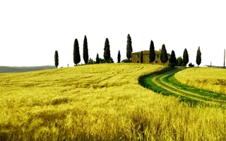 现代农业城市农业