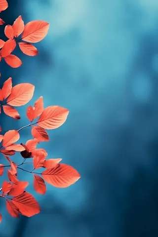 红叶大气简约蓝色背景