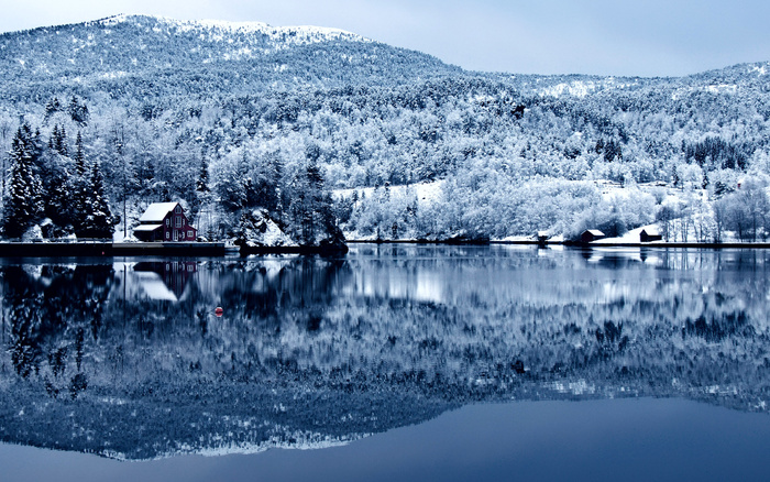 唯美高清树林雪景风景