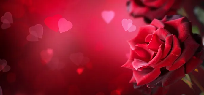 2.14情人节banner背景 公众号封面素材 2.14情人节banner背景 公众号封面素材