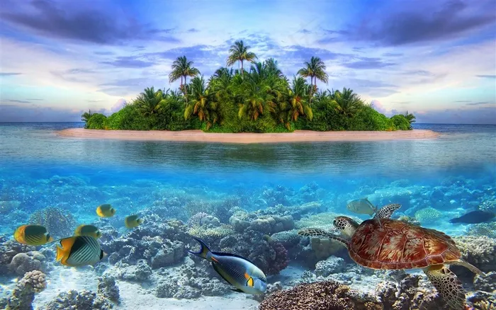 唯美海岛水底世界图片