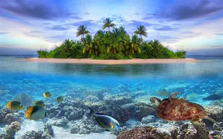唯美海岛水底世界图片