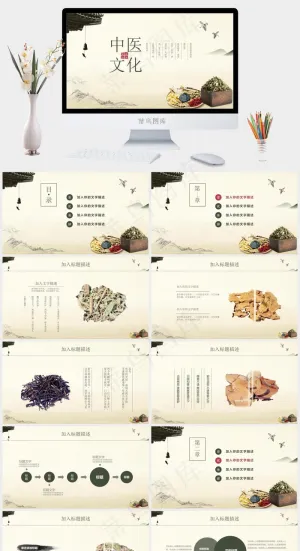 中药中医治病PPT模板ppt模版预览图