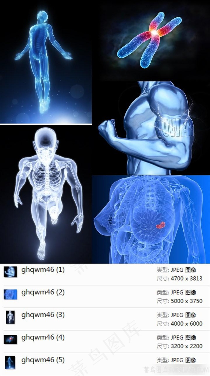 人体透视高清素材