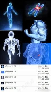 人体透视高清素材