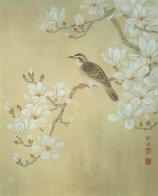听花语国画花鸟