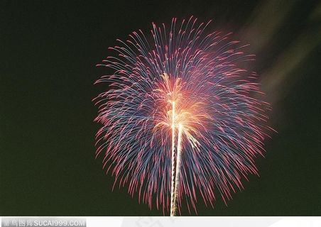 绚丽烟花-紫色的圆形焰火