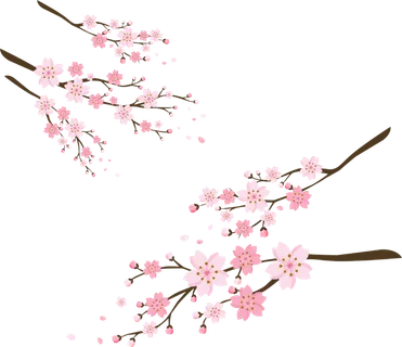 春天浪漫粉红色樱花手绘樱花梅花桃花花朵图片PNG免扣素材