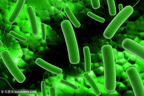 病毒细菌生物高清图