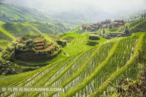 桂林龙胜龙脊梯田村落摄影图片