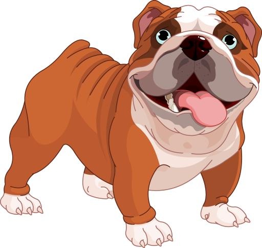 斗牛犬 PNG免抠(1024x968)