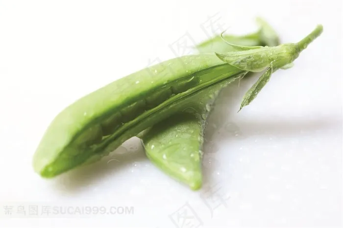 豌豆角高清摄影