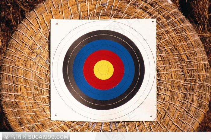 未射箭的靶子