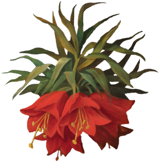 复古油画质感宫廷花卉植物花朵鲜花拼贴图案PNG免抠图片设计素材