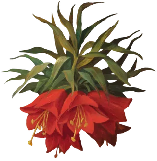 复古油画质感宫廷花卉植物花朵鲜花拼贴图案PNG免抠图片设计素材