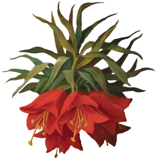 复古油画质感宫廷花卉植物花朵鲜花拼贴图案PNG免抠图片设计素材 复古油画质感宫廷花卉植物花朵鲜花拼贴图案PNG免抠图片设计素材