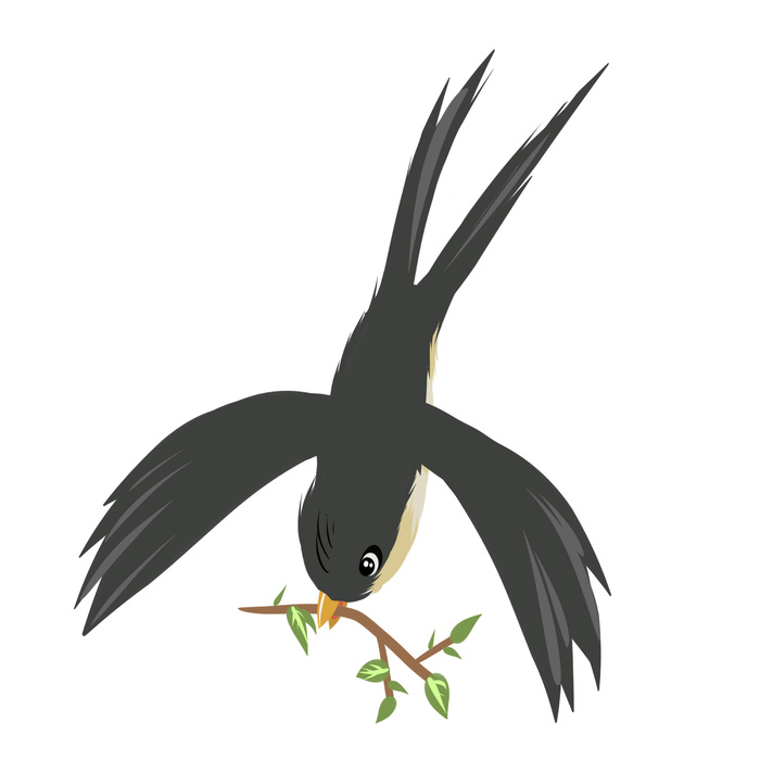 水彩手绘春季春天柳树柳条枝条小鸟小燕子元素PSD设计素材PNG图片