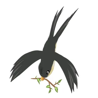 水彩手绘春季春天柳树柳条枝条小鸟小燕子元素PSD设计素材PNG图片