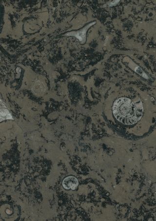 大理石背景高端石头地板瓷砖底纹