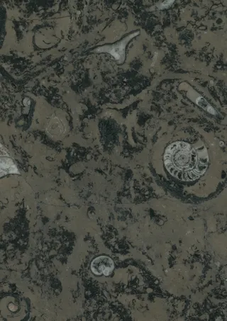 大理石背景高端石头地板瓷砖底纹