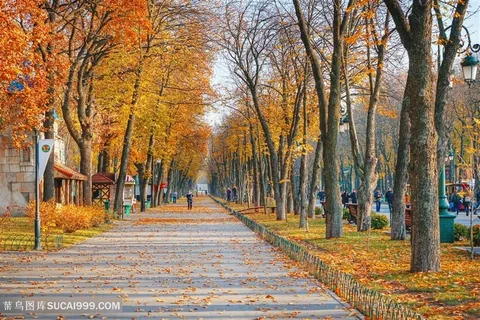 乌克兰哈尔科夫秋景 乌克兰哈尔科夫秋景