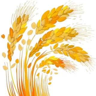 小麦麦穗金黄免抠