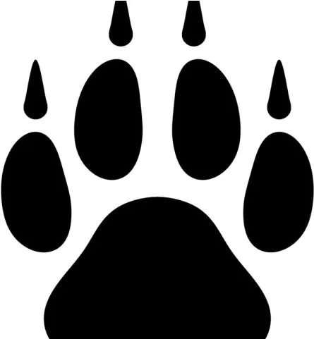 爪子 PNG免抠(445x481)