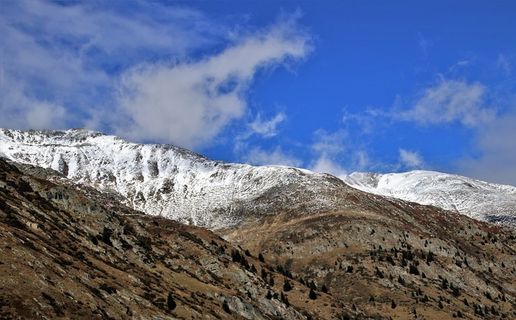 冬天自然背景风景
