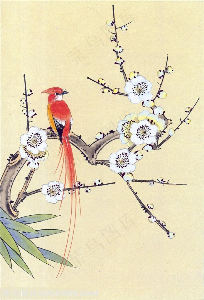 梅花开喜鹊来水墨图