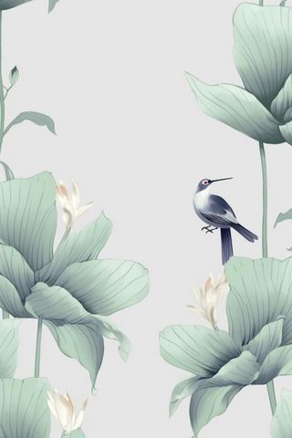 创意简约节气荷花背景