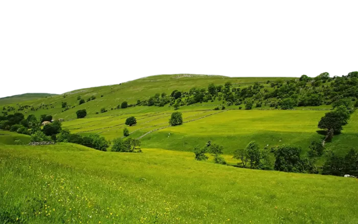 现代农业绿色田地