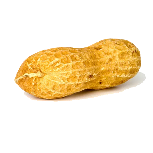 免扣png花生  