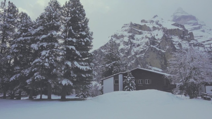 冬天森林里的房子