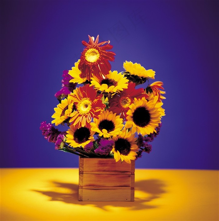 唯美向日葵图片