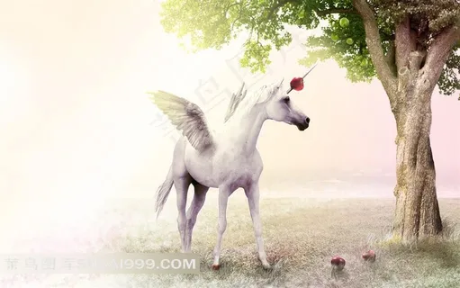 森林中带翅膀的白马