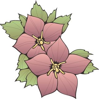 卡通动漫动画鲜花花草五叶花海报名片免扣图片素材矢量图