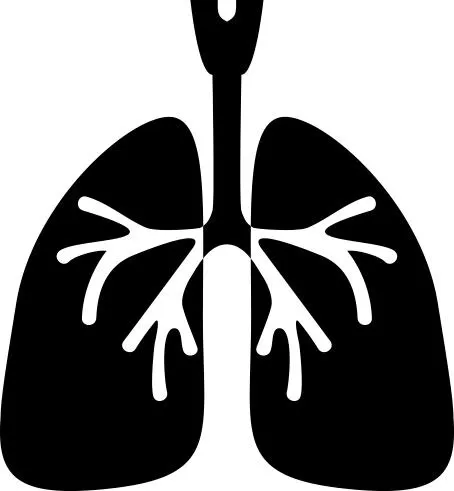 肺 PNG免抠(454x491)