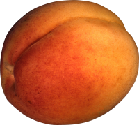 109_peach_PNG4839