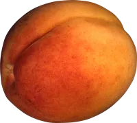 109_peach_PNG4839
